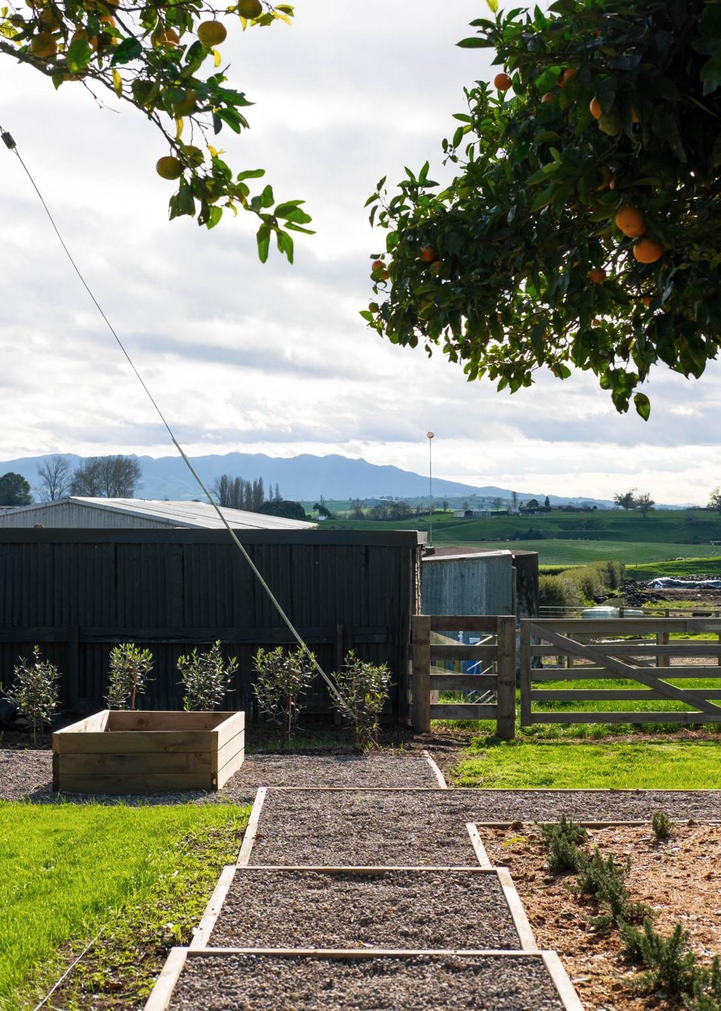 Willow View Cottage - Beautiful Farm Views Close To Waitomo Otorohanga Exterior foto